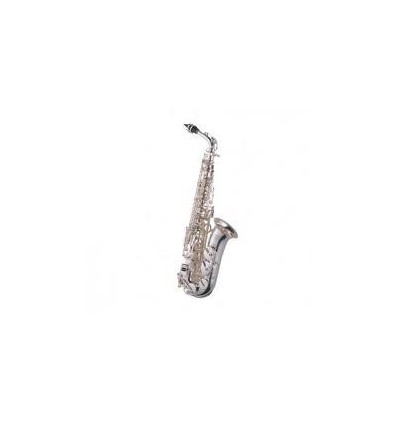 Saxo Alto J.Michael AL900S