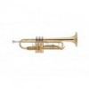 Trompeta J.Michael TR380 SIb 