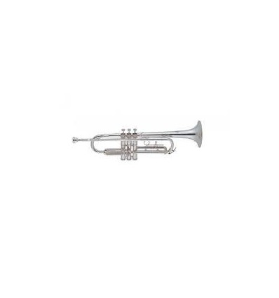 Trompeta J.Michael TR300