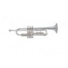 Trompeta J.Michael TR300
