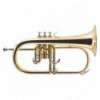 Fliscorno "J.MICHAEL" FG500