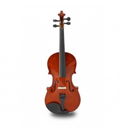 Violín Amadeus VA-101