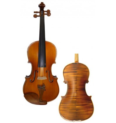 Violín Amadeus VP201 
