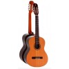 Guitarra admira Virtuoso - Instrumentos el Diapasón