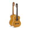 Guitarra admira Triana electrificada doble - Instrumentos el Diapasón