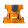Violín Gliga Gems II 5 cuerdas cerca - Instrumentos musicales el Diapasón Olivares (Sevilla)