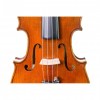 Violín Stentor Master cerca - Instrumentos Musicales el Diapasón Olivares (Sevilla)