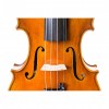 Violín Heritage EE cerca - Instrumentos Musicales el Diapasón Olivares (Sevilla)
