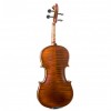 Violín Gliga Gama II trasera - Instrumentos Musicales el Diapasón Olivares (Sevilla)