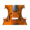 Violín Antonio Wang Atelier cerca - Instrumentos Musicales el Diapasón Olivares (Sevilla)