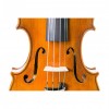 Violín Mr. Danio Wu Master Signature cerca - Instrumentos musicales el Diapasón Olivares (Sevilla)