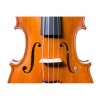 Viola Gliga Gems II cordal
