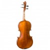Viola Gliga Gems II trasera