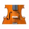 Viola Gliga Gems I cordal