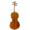 Viola Heritage HA  trasera