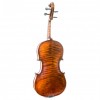 Viola Gliga Gama II  trasera