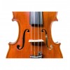 Viola Gliga Gama II 