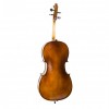 Cello Stentor Student II SH  trasera - Instrumentos musicales el Diapasón Olivares (Sevilla)