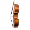 Cello Gliga Genial I Antiqued 