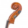 Cello Gliga Gems II 