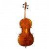 Cello F. Müller Master Antiqued  trasera - Instrumentos musicales el Diapasón Olivares (Sevilla)