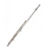 Flauta Travesera Gara Winds GFL-33