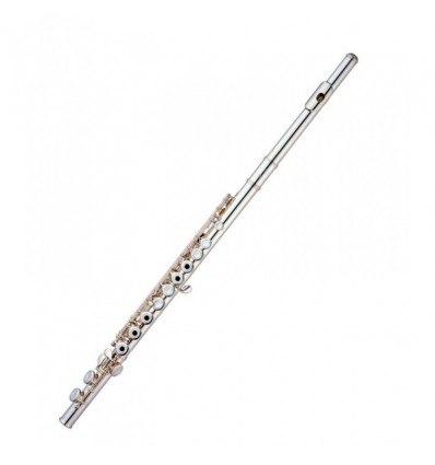 Flauta Travesera Gara Winds GFL-34