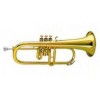 Fliscorno Gara Winds GFH-45