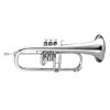 Fliscorno Gara Winds GFH-45S