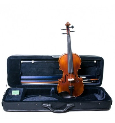 Violín Corina Sestteto