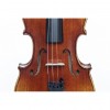 Violín F.Müller Soloist frontal