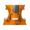 Violín Stentor Verona fontal