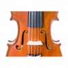 Violín Gliga Gems I 4/4 5 cuerdas frontal