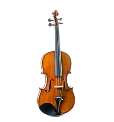 Viola Gliga Vasile Maestro I