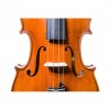 Viola Gliga Vasile Maestro I frontal