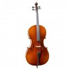 Cello F. Müller Concertino
