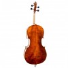 Cello F. Müller Concertino trasera