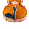 Barbada lateral para viola Dresden plástico frontal