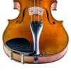 Barbada lateral para violín Dresden plástico frontal