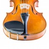 Barbada violín Hill ébano 4/4 frontal