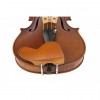 Barbarda violín Berber central Boj 4/4-3/4 frontal