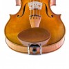 Barbarda violín central Flesh-Flat Boj 4/4-3/4 frontal