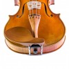 Barbada viola lateral sobre cordal Boj frontal