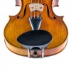 Barbada violín central Flesh-Flat ébano frontal