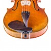 Barbada viola lateral sobre cordal palisandro frontal