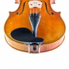 Barbada viola lateral sobre cordal ébano frontal