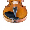 Barbada viola lateral sobre cordal Guarneri ébano frontal