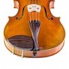 Barbada viola lateral Extra-Flat palisandro frontal