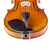Barbada viola lateral sobre cordal Guarneri palisandro frontal