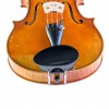 Barbada viola central Flesh-Flat ébano frontal